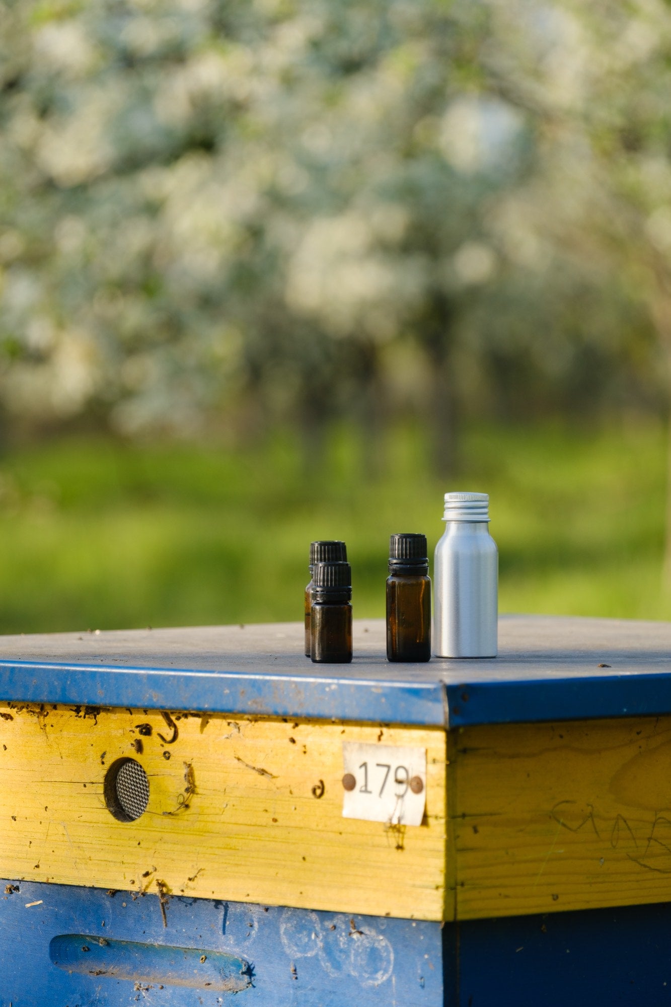 Bottles of Alepu oil standing on a beehive in the blossoming plum orchard