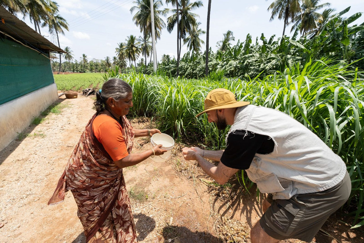 A grower showing a bowl of harvested crop to a visitor at the edge of her field