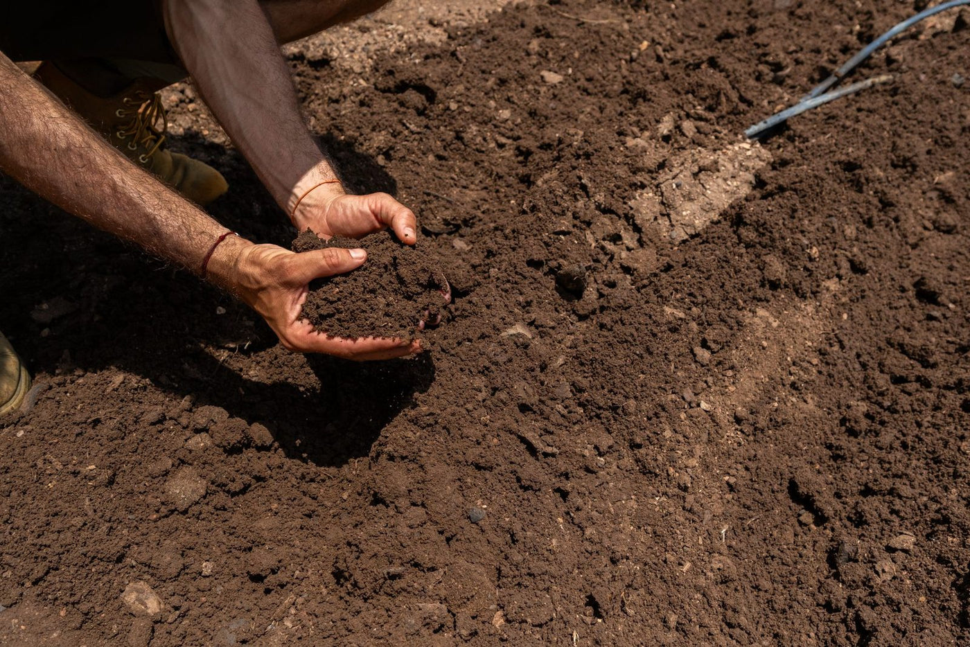 Hands lifting dark soil from a freshly worked bed