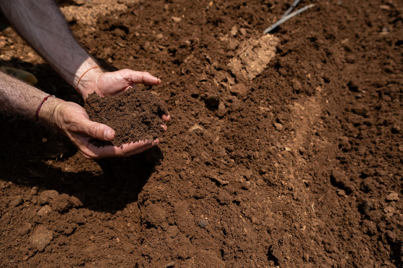 Two hands lifting a handful of dark crumbling soil out of a worked bed