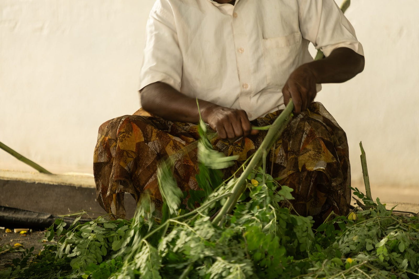A worker trimming freshly cut green stems beside a white wall