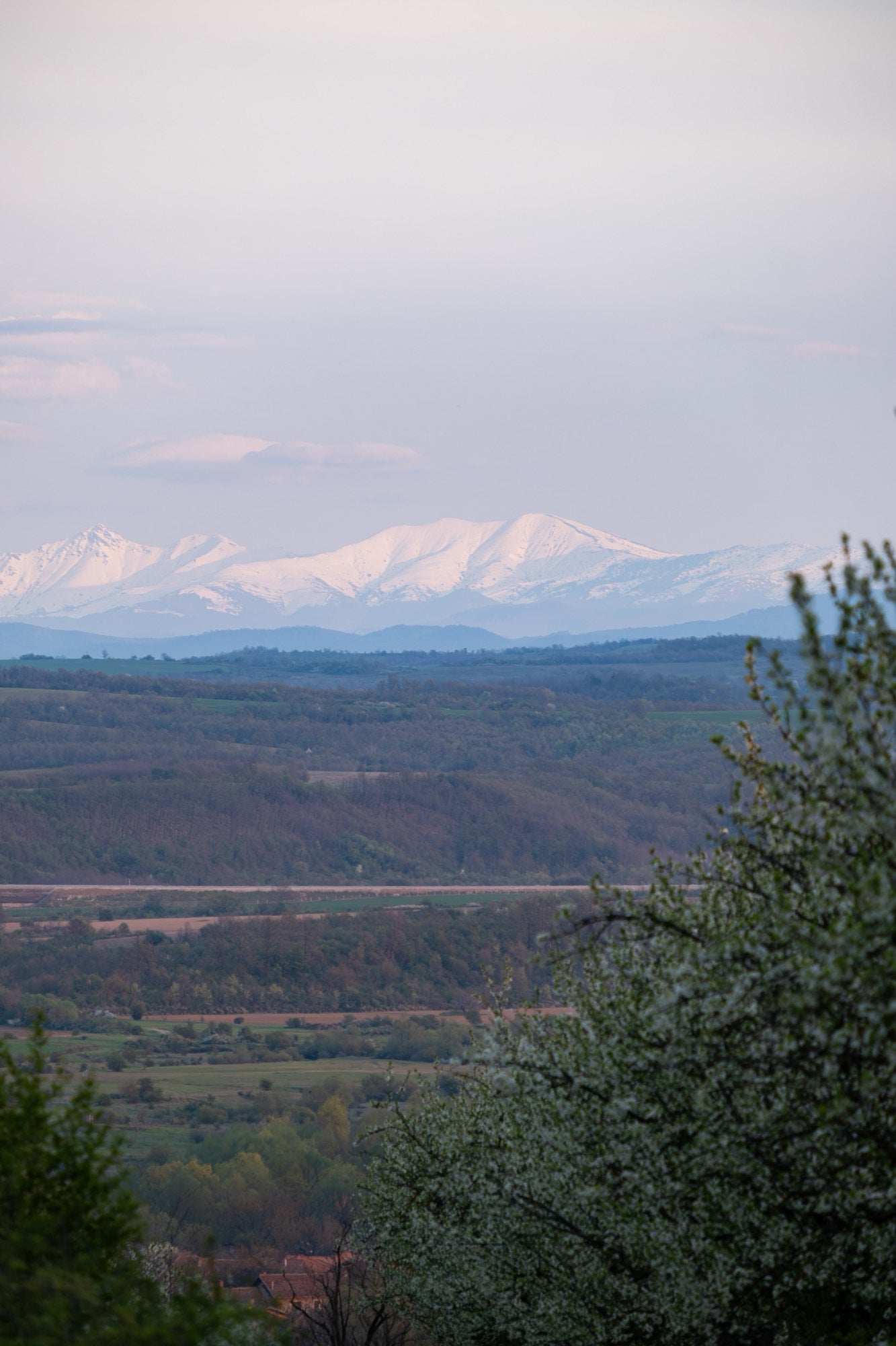 The valley below the orchard at dusk, with snow on the mountains beyond